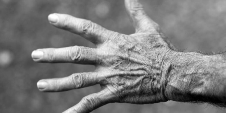 Aile Hekimleri Yaşlı İhmali – İstismarı Farkındalığı Araştırması