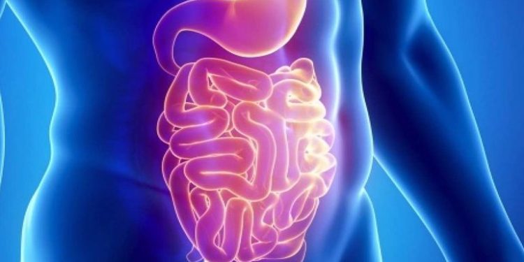 Akut Gastroenterit- Barsak Enfeksiyonu (AGE)