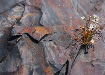 Bilim insanları: Erken Dünya’da oksijen kayalardan gelmiş olabilir