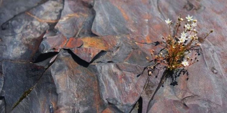 Bilim insanları: Erken Dünya’da oksijen kayalardan gelmiş olabilir