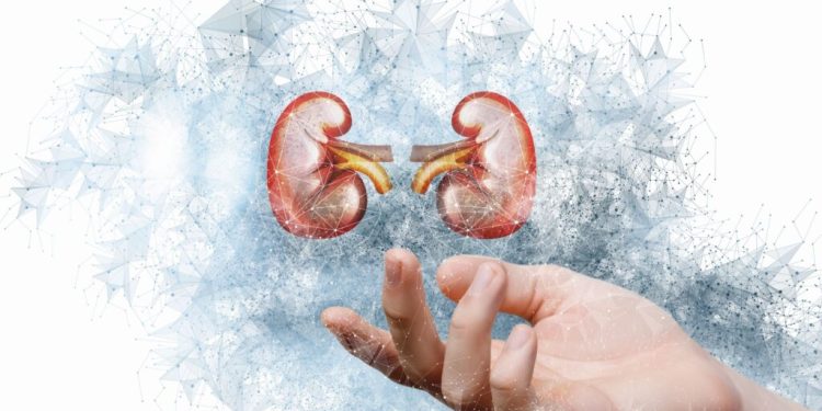 Böbreğin Az Bilinen Düşmanı; Bilinçsiz İlaç Kullanımı