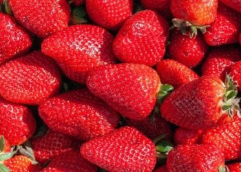 Çilek yerken dikkat edin. Böyle tüketilmesi karaciğeri bitiriyor