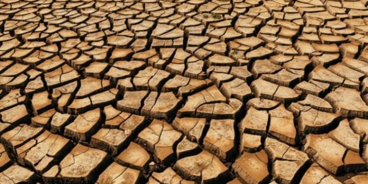 Dünya Su Günü’nde tablo korkutucu: Tehlike çanları çalıyor