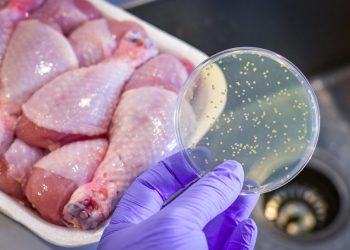 Gıda Zehirlenmesinde Erken Müdahale Tedaviyi Kolaylaştırıyor