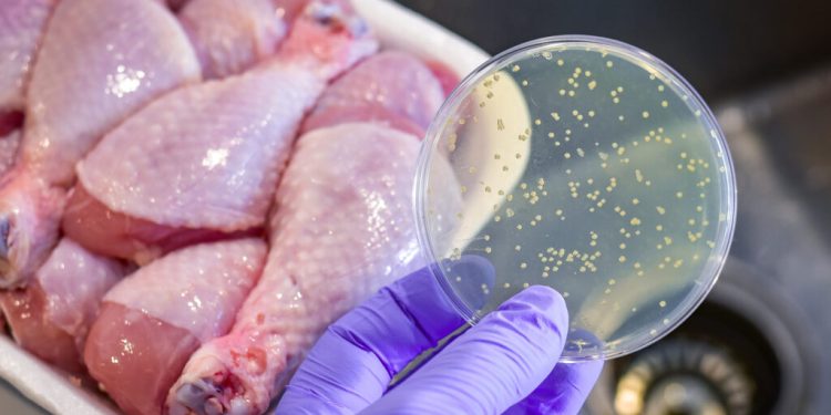 Gıda Zehirlenmesinde Erken Müdahale Tedaviyi Kolaylaştırıyor