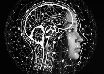 Hangi anadili konuştuğunuz beyin yapınızı belirliyor