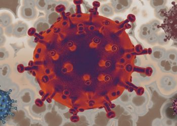 Kan ve Cinsel Temasla Bulaşan Hepatit B ve C’ye Dikkat !