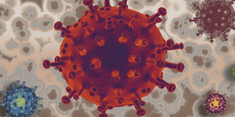 Kan ve Cinsel Temasla Bulaşan Hepatit B ve C’ye Dikkat !