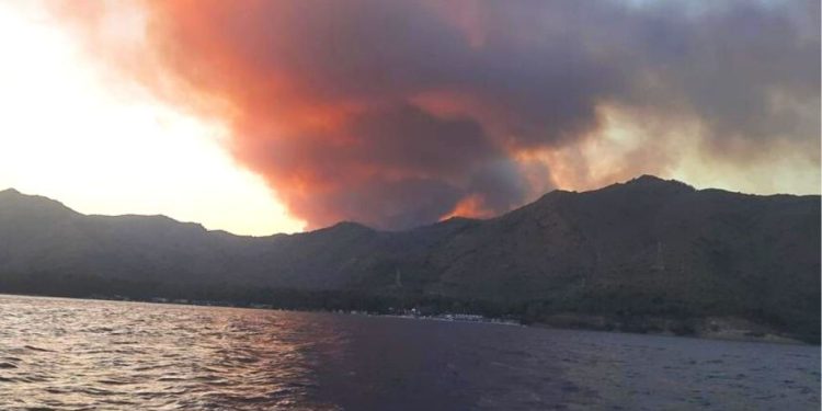 Muğla-Marmaris-Bördübet Yangını Raporu 