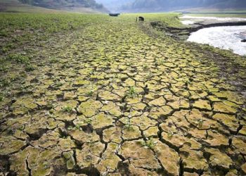 Prof. Dr. Halim Orta: ‘Kuraklık göç getirecek’