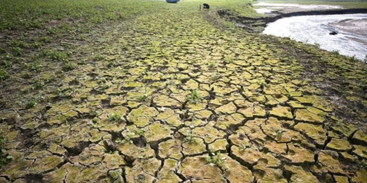 Prof. Dr. Halim Orta: ‘Kuraklık göç getirecek’