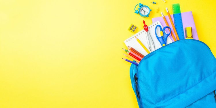 Talip Geylan “Yeni Eğitim-Öğretim Yılı İçin Yaz Tatilinde Tüm Tedbirler Alınmalıdır.”