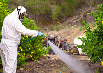 Tarım Zehirlerinde Rekor Artış