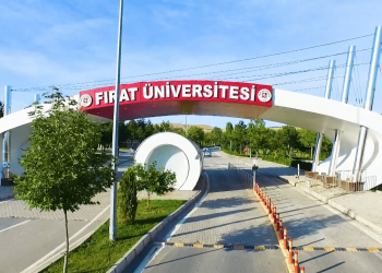 THD, YÖK’ü Göreve Çağırdı: Veteriner Öğretim Üyeleri Hemşire Yetiştiremez!