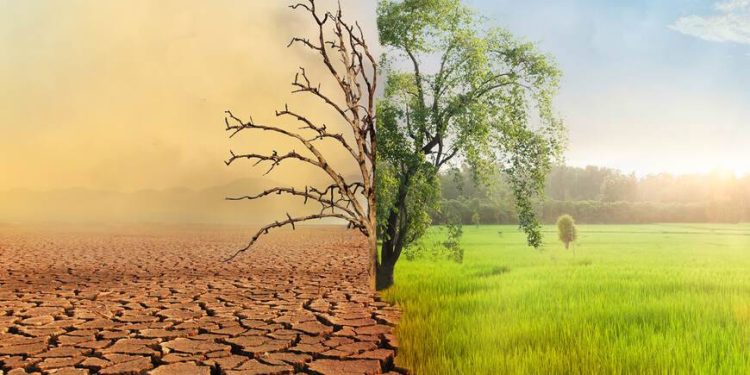 TMMOB Çevre Mühendisleri Uyarıyor: “Türkiye Su Fakiri Ülkeler Sınıfında!”