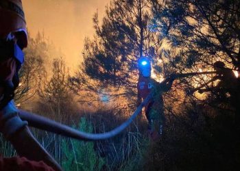 AKUT Selçuk Yangın Bölgesine Ulaştı