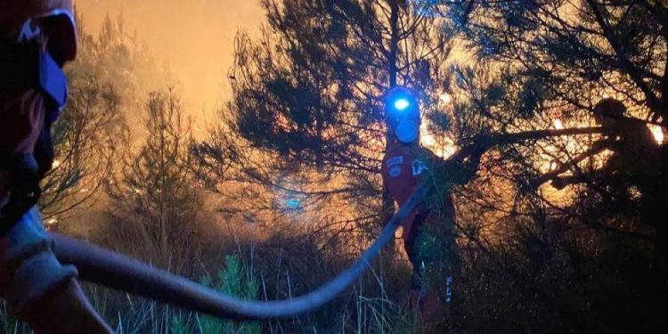 AKUT Selçuk Yangın Bölgesine Ulaştı