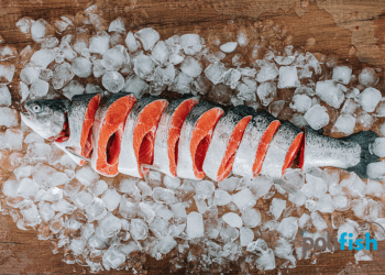 Dondurulmuş Balık Alırken Dikkat!