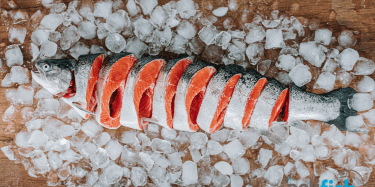 Dondurulmuş Balık Alırken Dikkat!