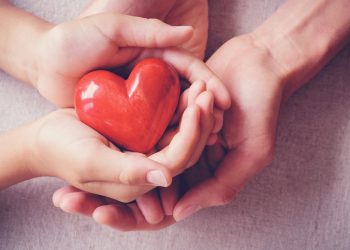 Kalp Damarları Biyoadaptör Teknolojisi İle Nedir ?