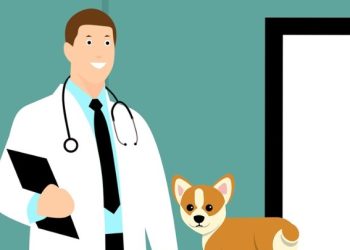 Veteriner Hekimler Şiddet Olaylarına İsyan Etti