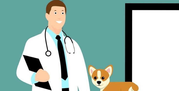 Veteriner Hekimler Şiddet Olaylarına İsyan Etti